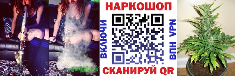 ГАШ Оленегорск