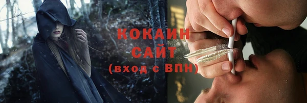 твердый Алексин