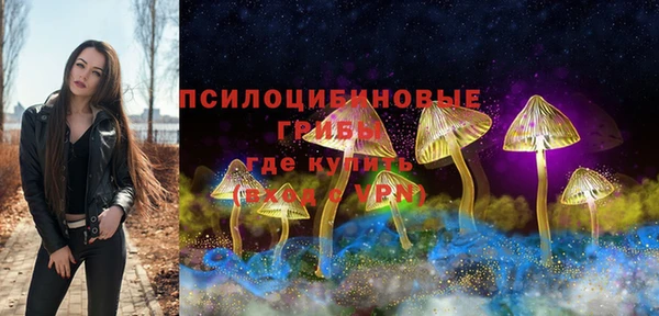 твердый Алексин