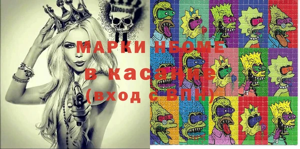 гидропоника Алзамай