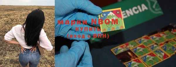 гидропоника Алзамай
