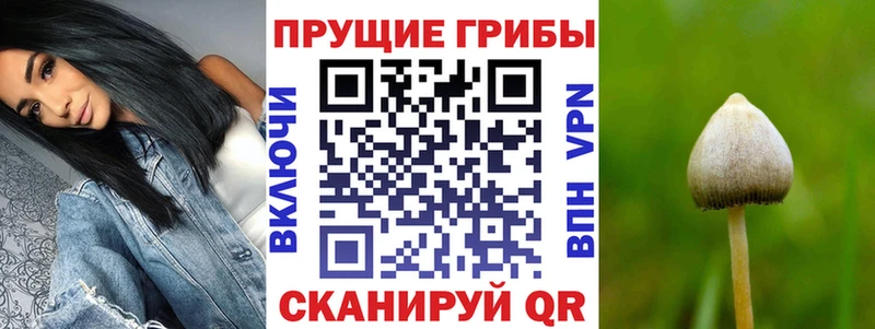 Псилоцибиновые грибы мицелий  MEGA как зайти  Оленегорск 